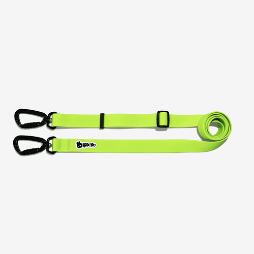 MULTIFUNCTIONAL LEASH