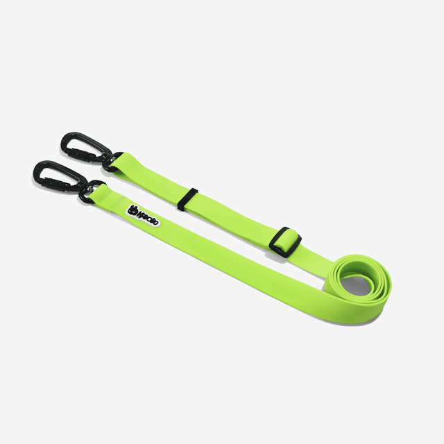MULTIFUNCTIONAL LEASH
