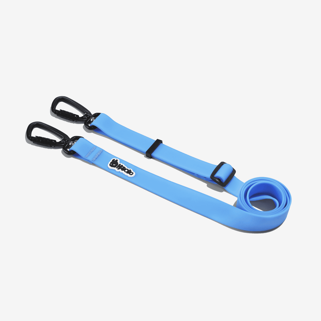 MULTIFUNCTIONAL LEASH