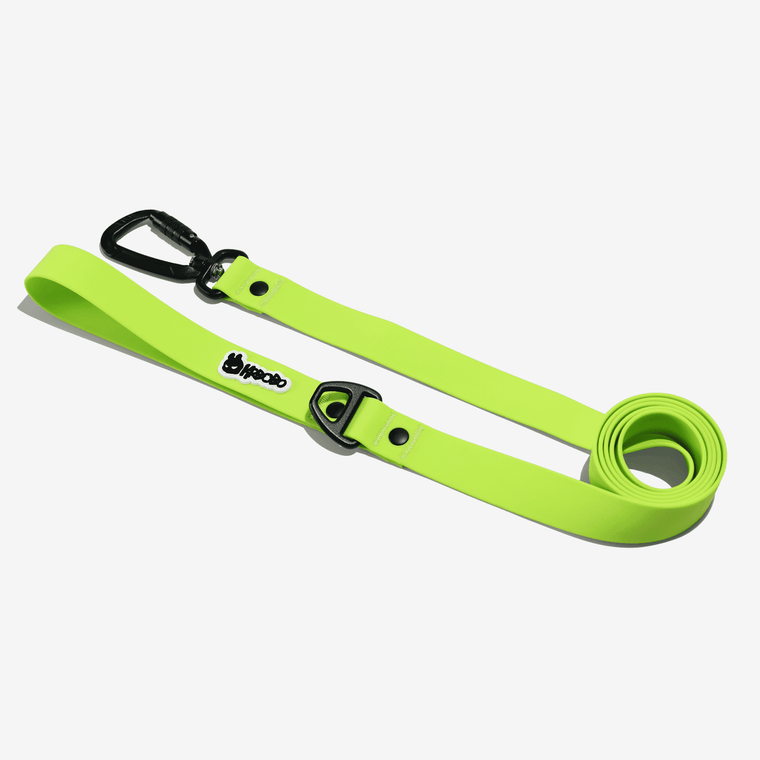  CLASSIC LEASH